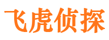 江都侦探社